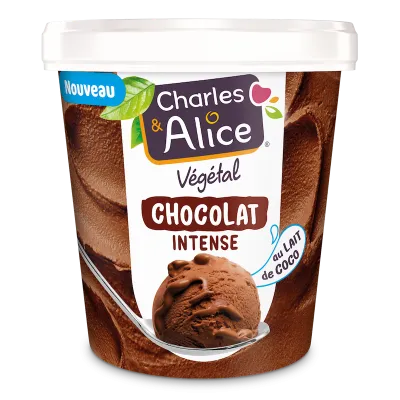 Visuel glace chocolat-Charles&Alice