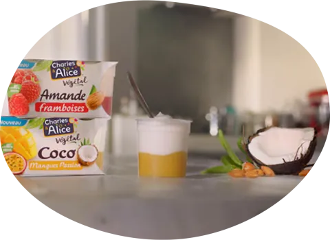 charles et alice desserts végétaux bicouche lait de coco