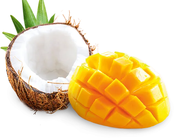 fruit